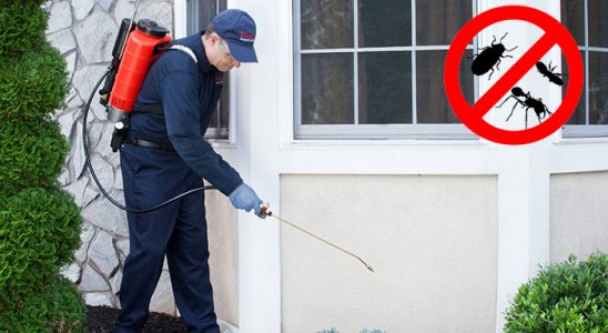 Odunpazarı Uçan Haşere İlaçlama böcek ilaçlama ve haşere kontrolü — ilaclama-tr.com